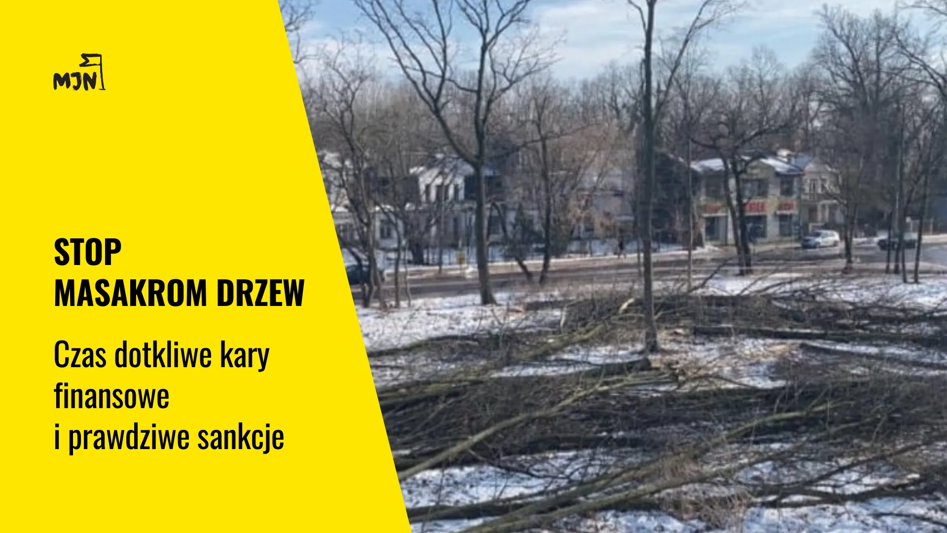 STOP masakrom drzew!