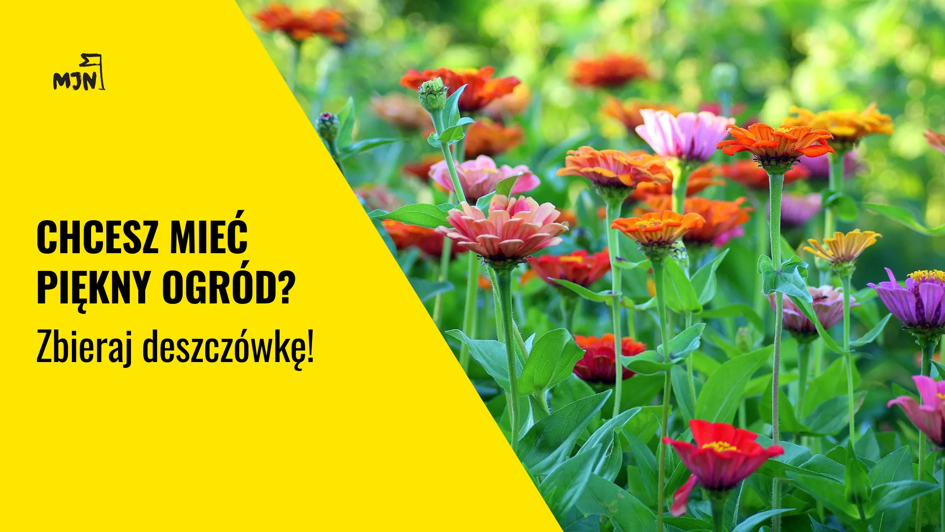 Chcesz mieć piękny ogród? Zbieraj deszczówkę!