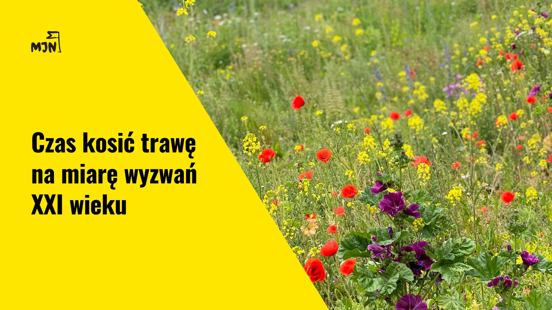 Jak kosić trawę na miarę wyzwań XXI wieku?