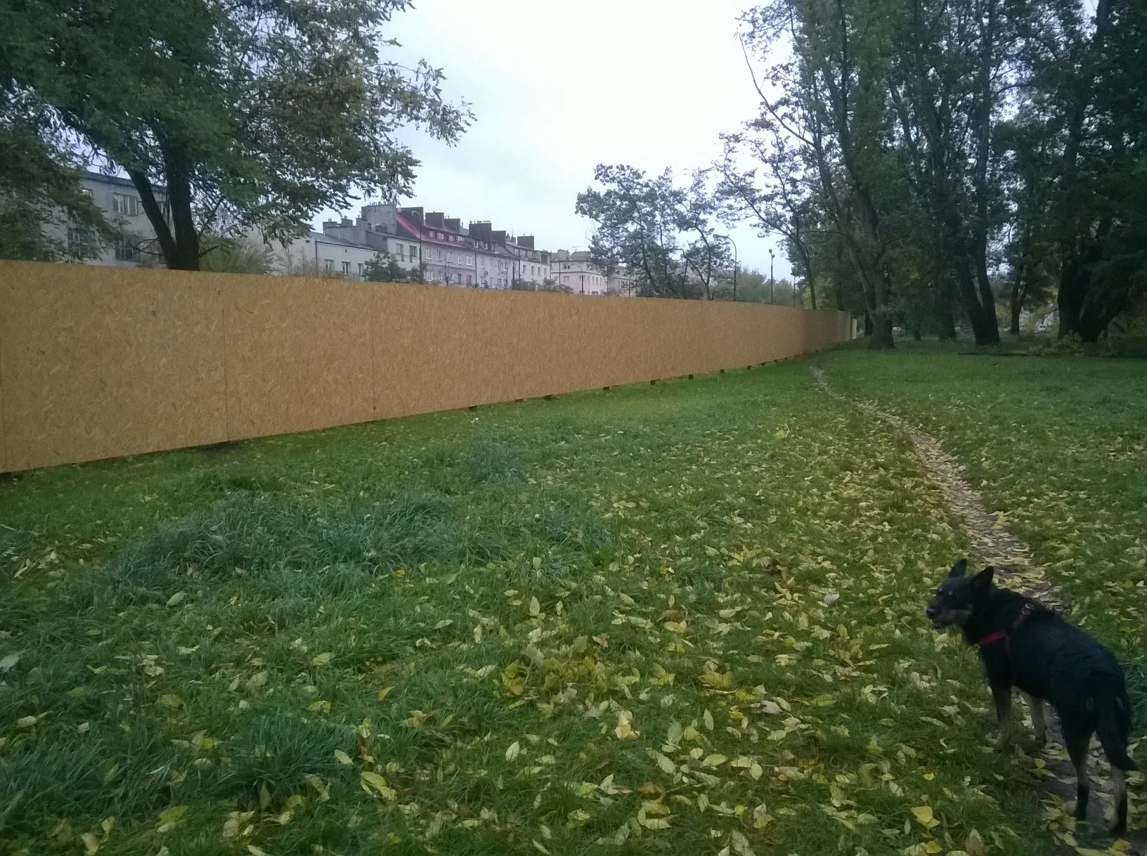 Na błoniach wyrosło ogrodzenie