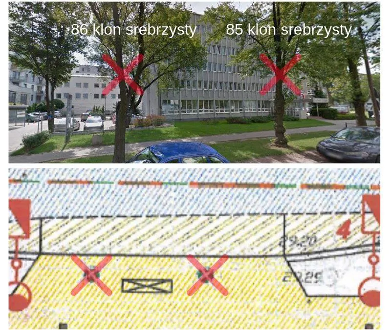 Wyleczmy zatoki Rydygiera