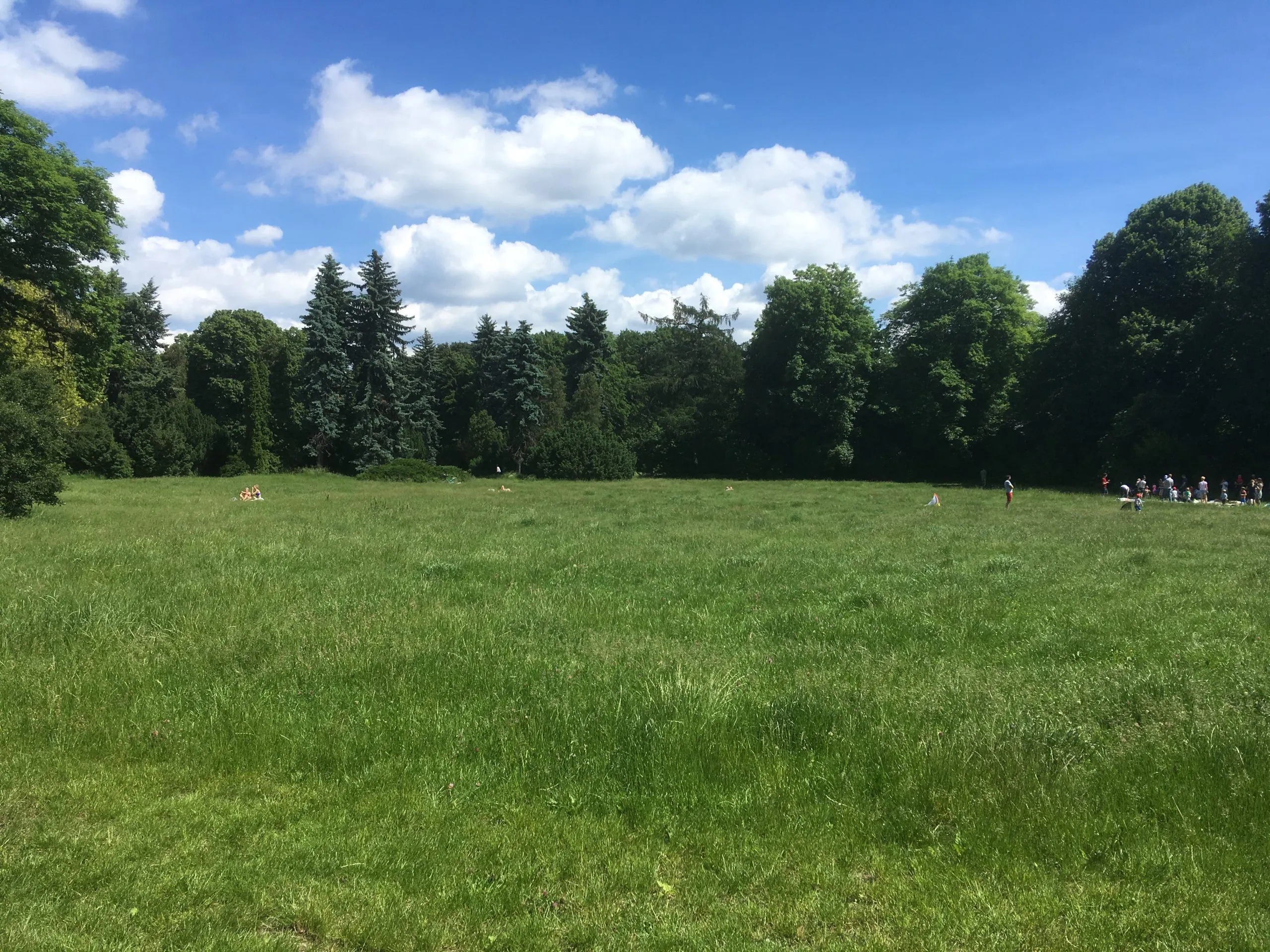 Kosić czy nie kosić?