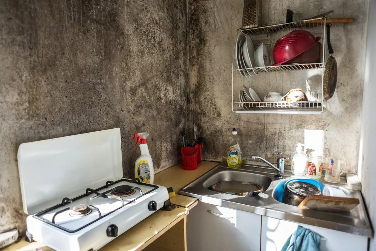 Zagrzybione mieszkania wstydem stolicy