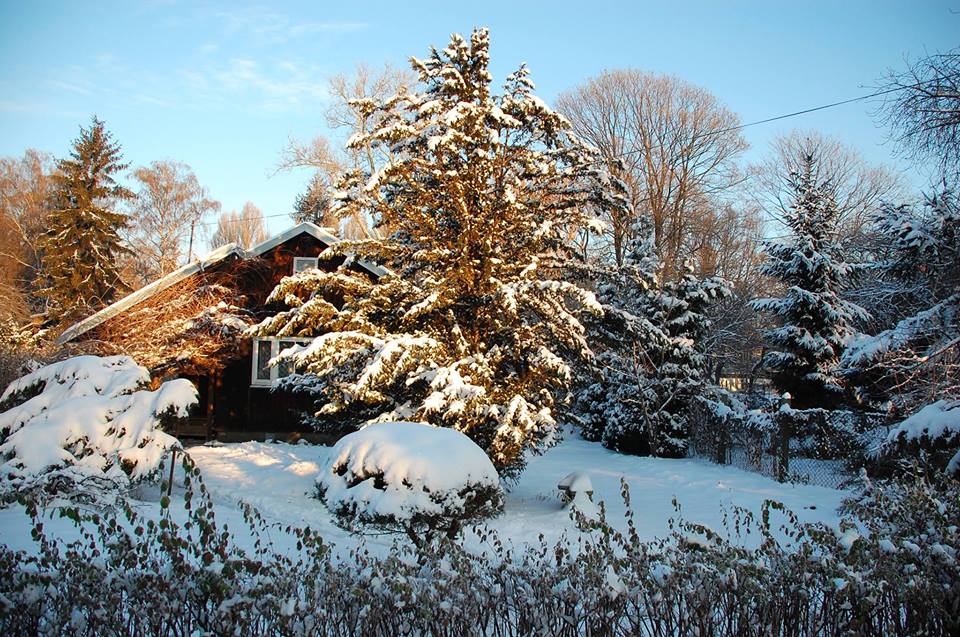 Podwórkowa Gwiazdka na Jazdowie