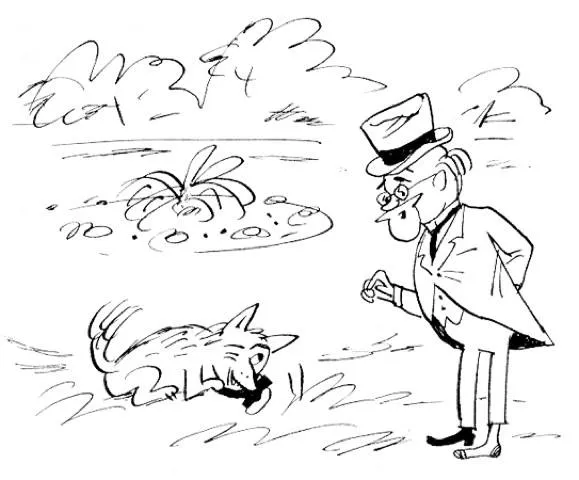 Warszawski doktor Dolittle poszukiwany!