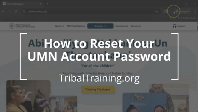 Picture link to How To Video page
