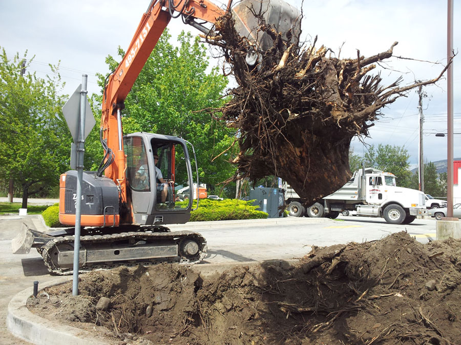 About Secondary Image