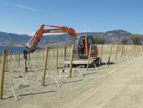 About Secondary Image