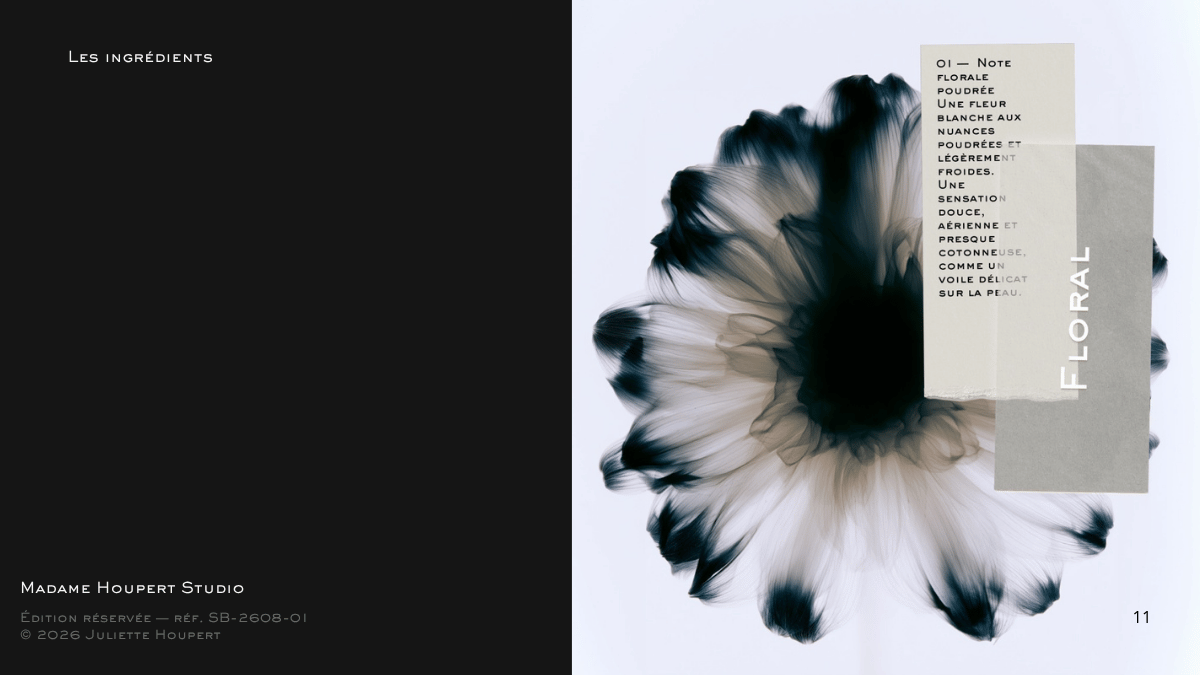 Solstice bleu — visuel a remplacer