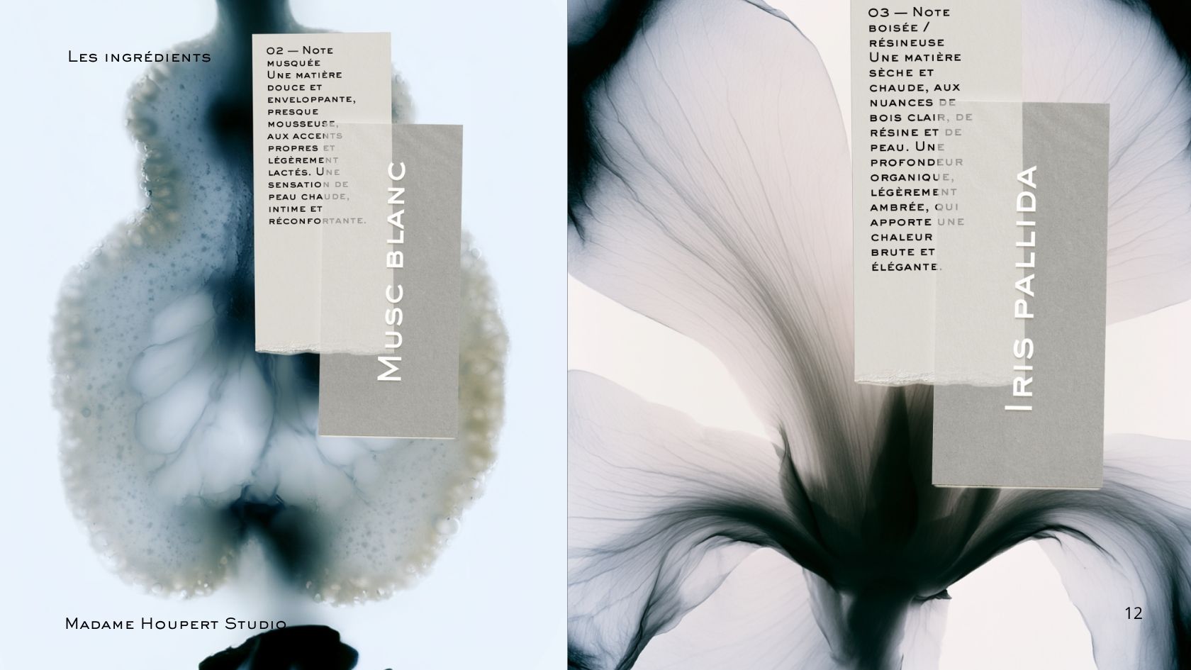 Solstice bleu — visuel a remplacer