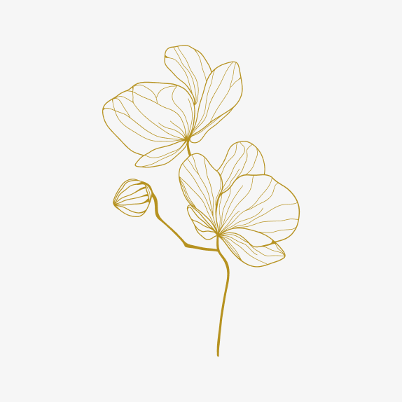 Minimalist gold line art of two flowers and a bud on white background.