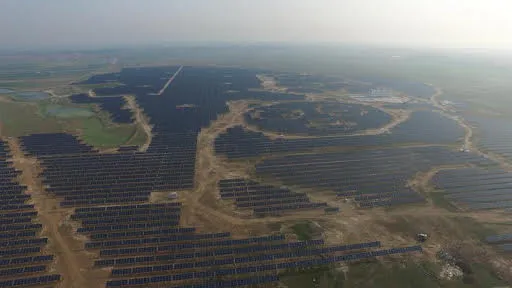 panda_solar_farm.webp
