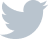 Twitter icon