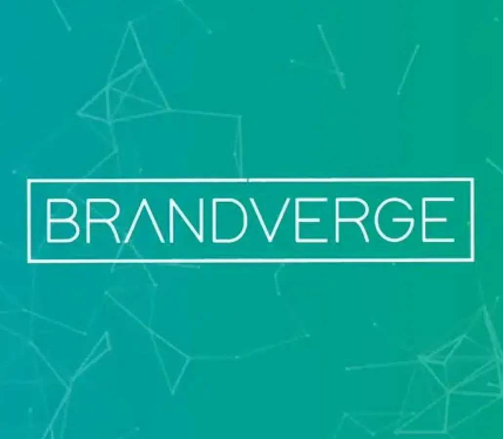 BrandVerge marketplace platform interface showing dashboards and campaign management