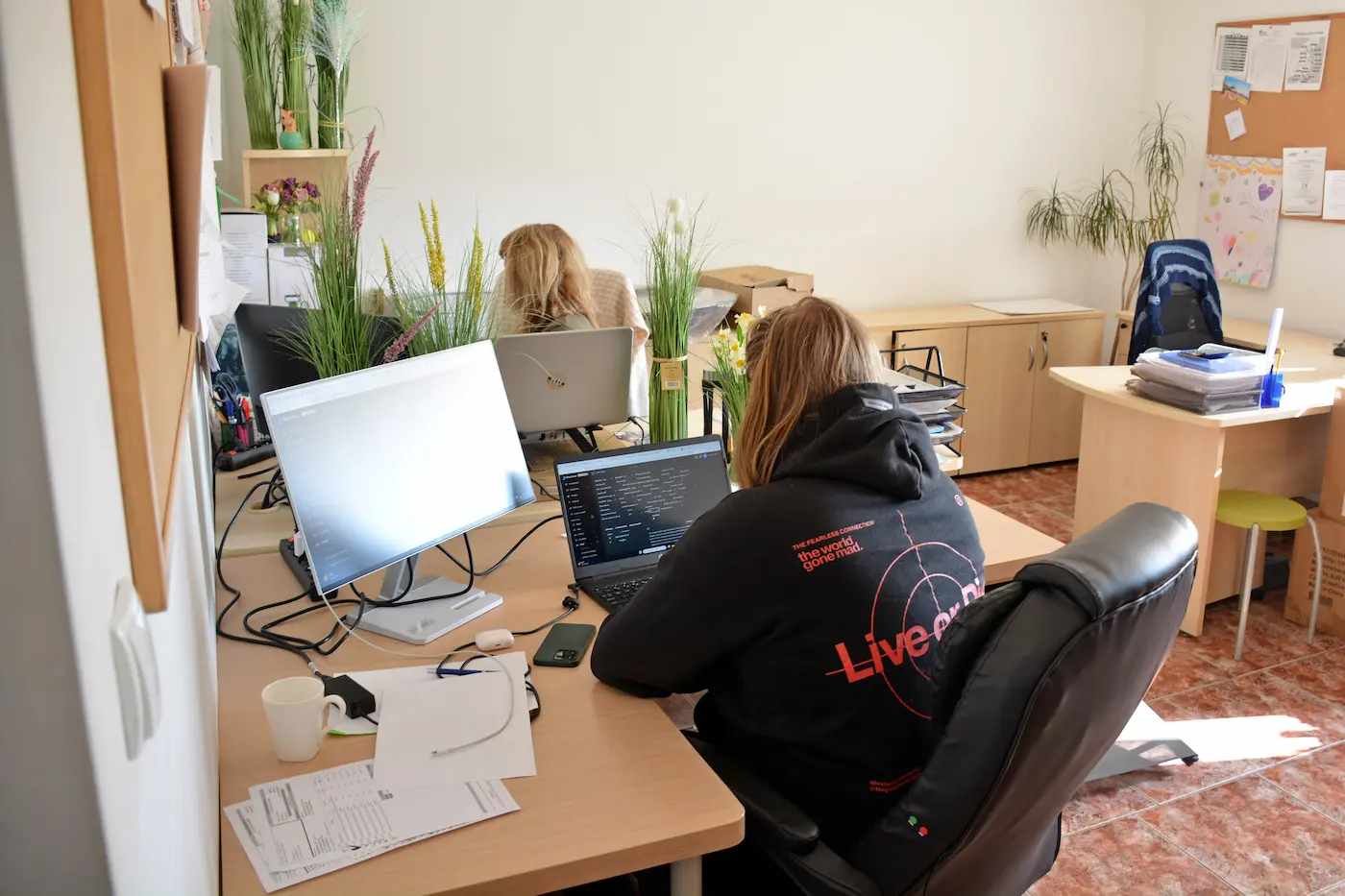 Dwie osoby pracujące na komputerach w jasnym biurze z roślinami na biurkach.