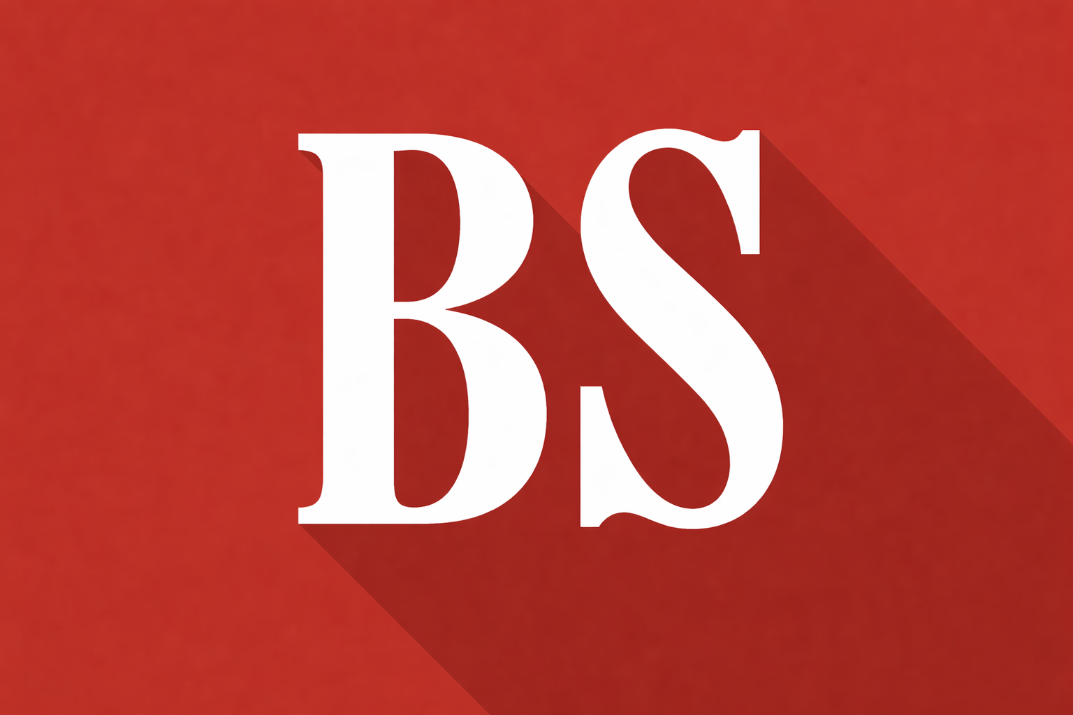 Business Standard Media Logo