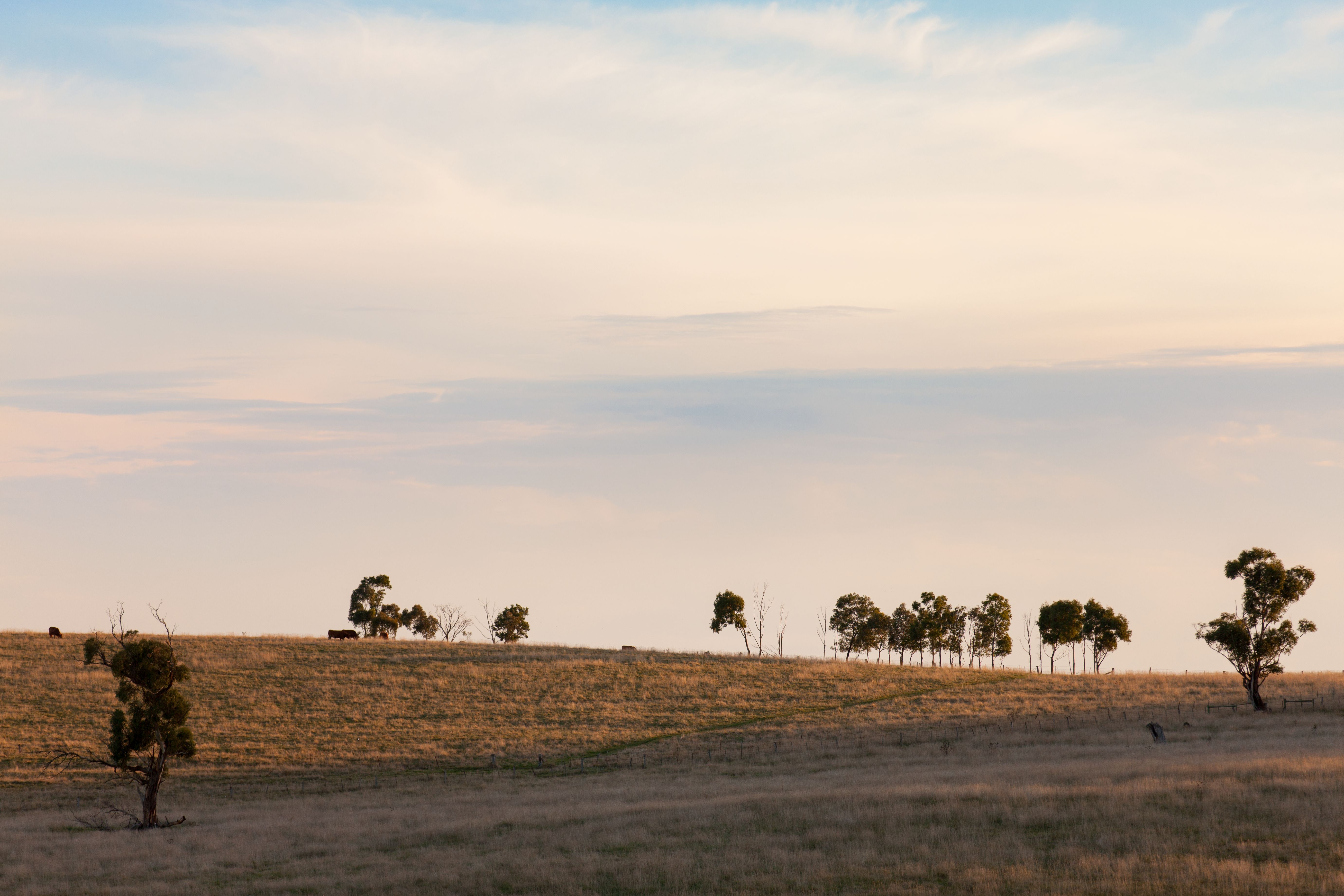Fairview - New View on Residential Living