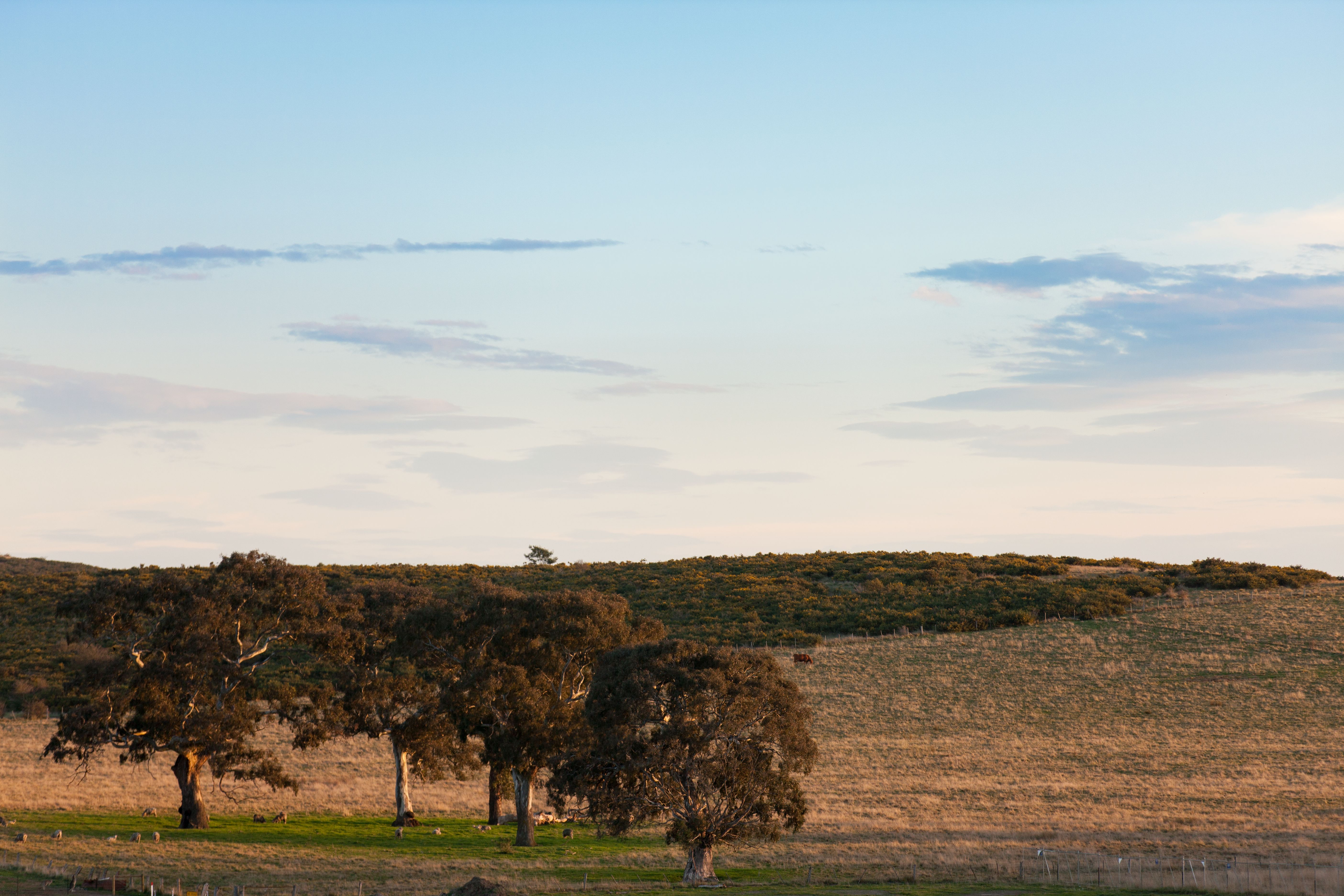 Fairview - Outer North Continues to Boom