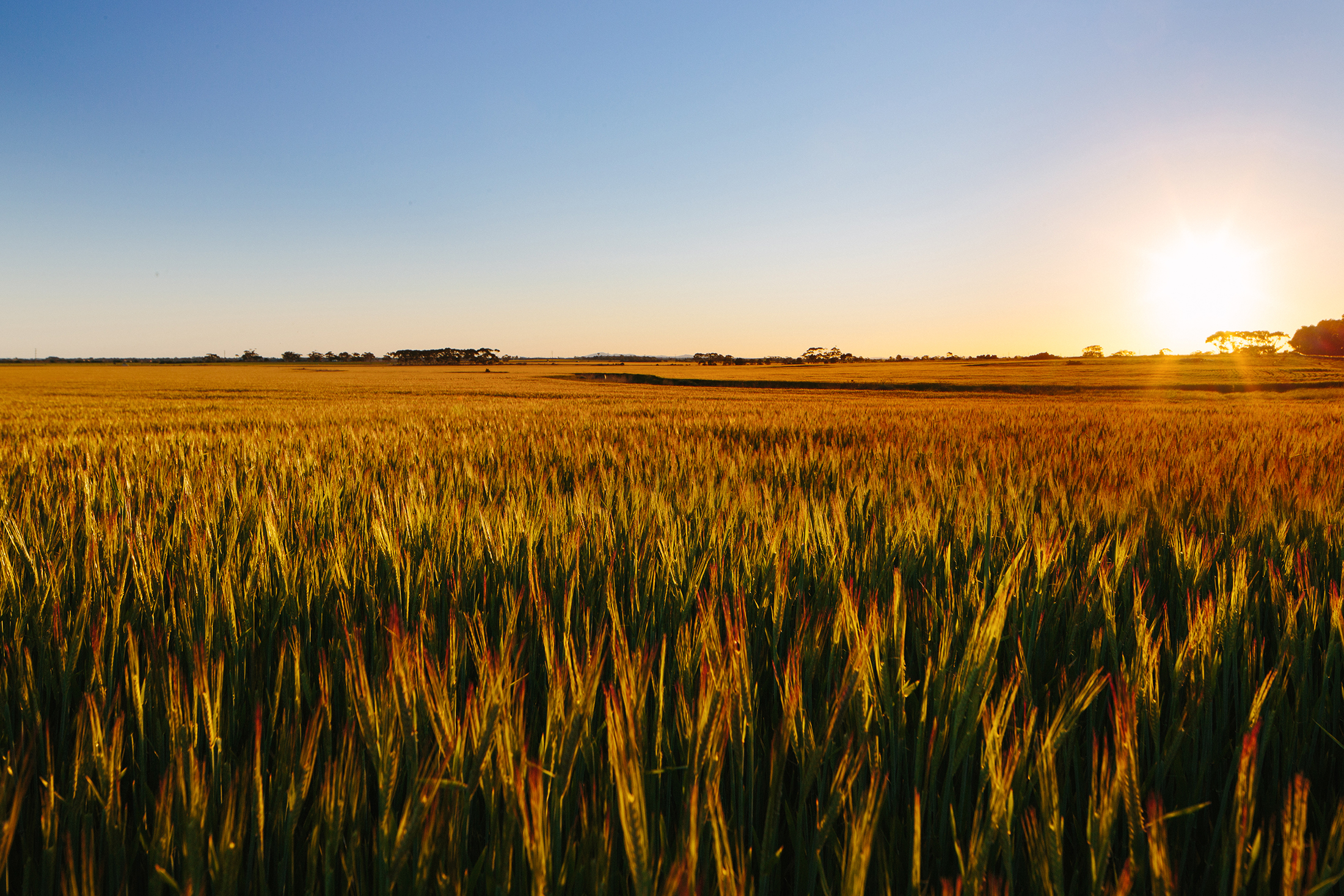 Folkestone Partnership Continues