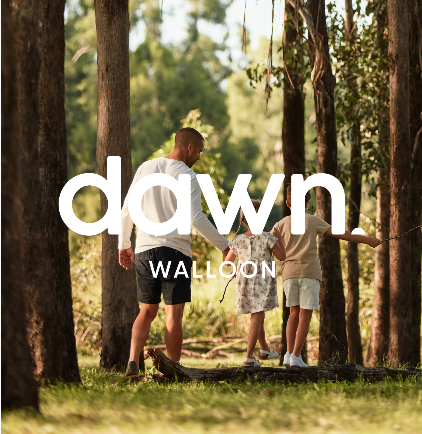 A new Dawn in Walloon