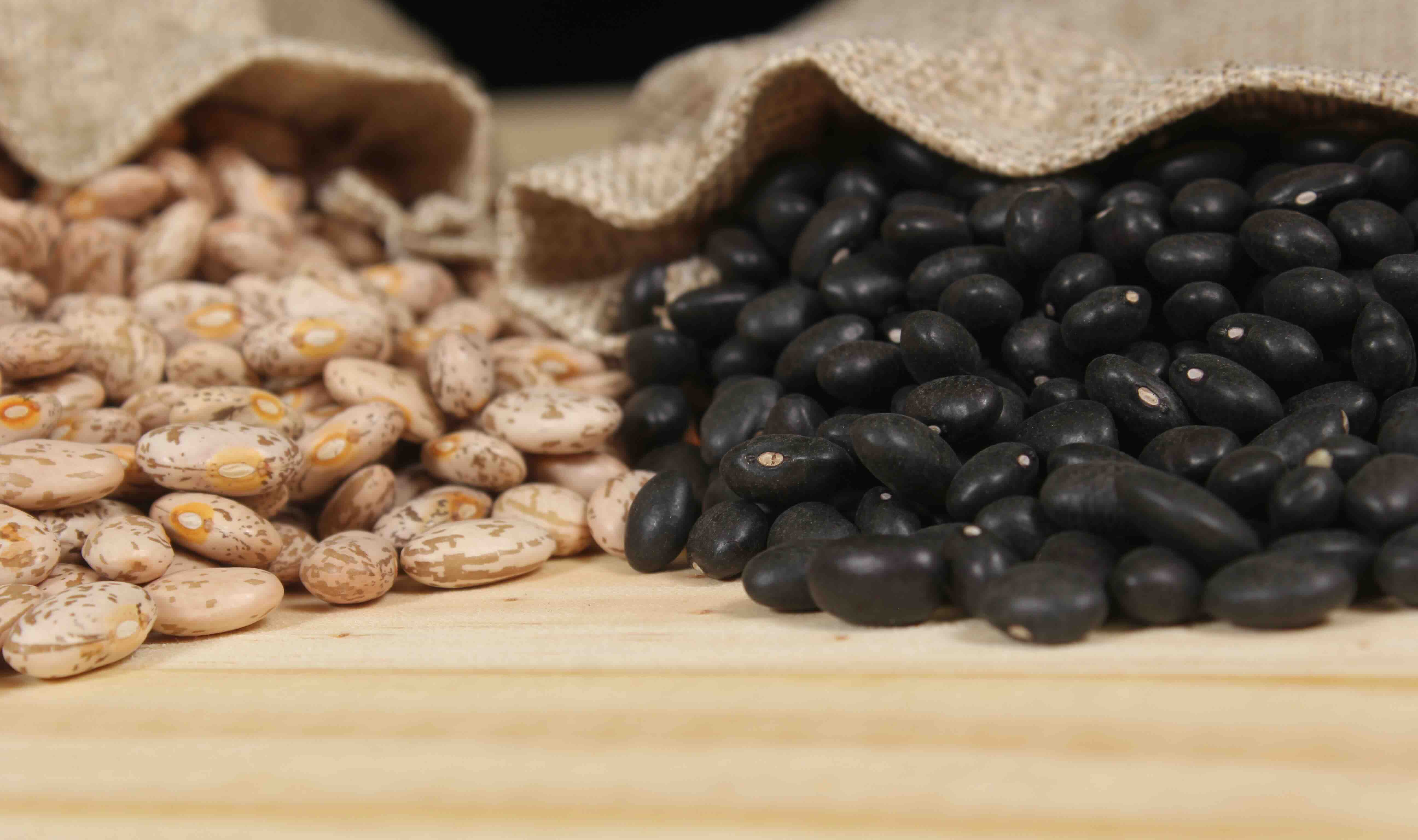 Close-up of Pinto and black beans spilling out of small burlap bags.