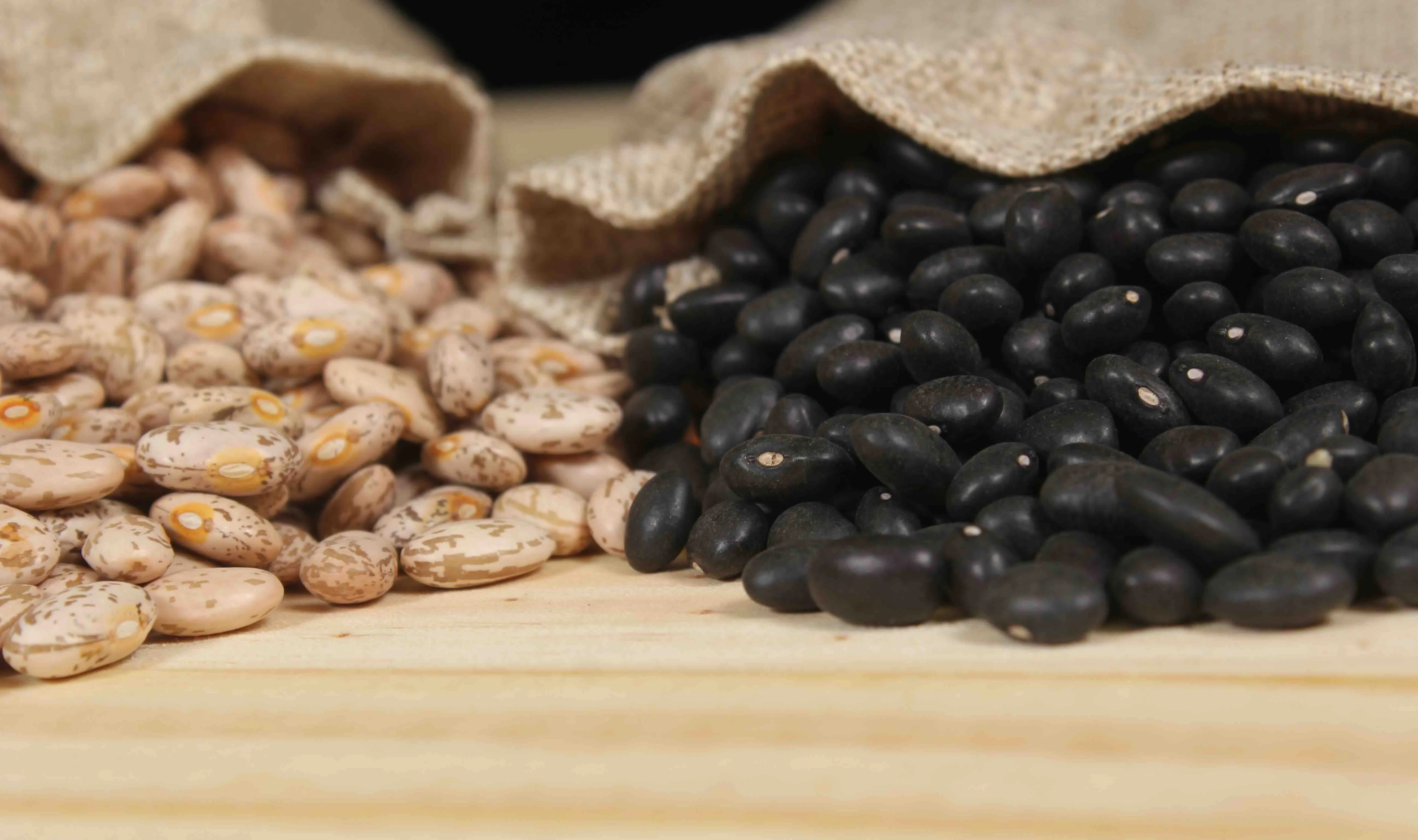 Close-up of Pinto and black beans spilling out of small burlap bags.