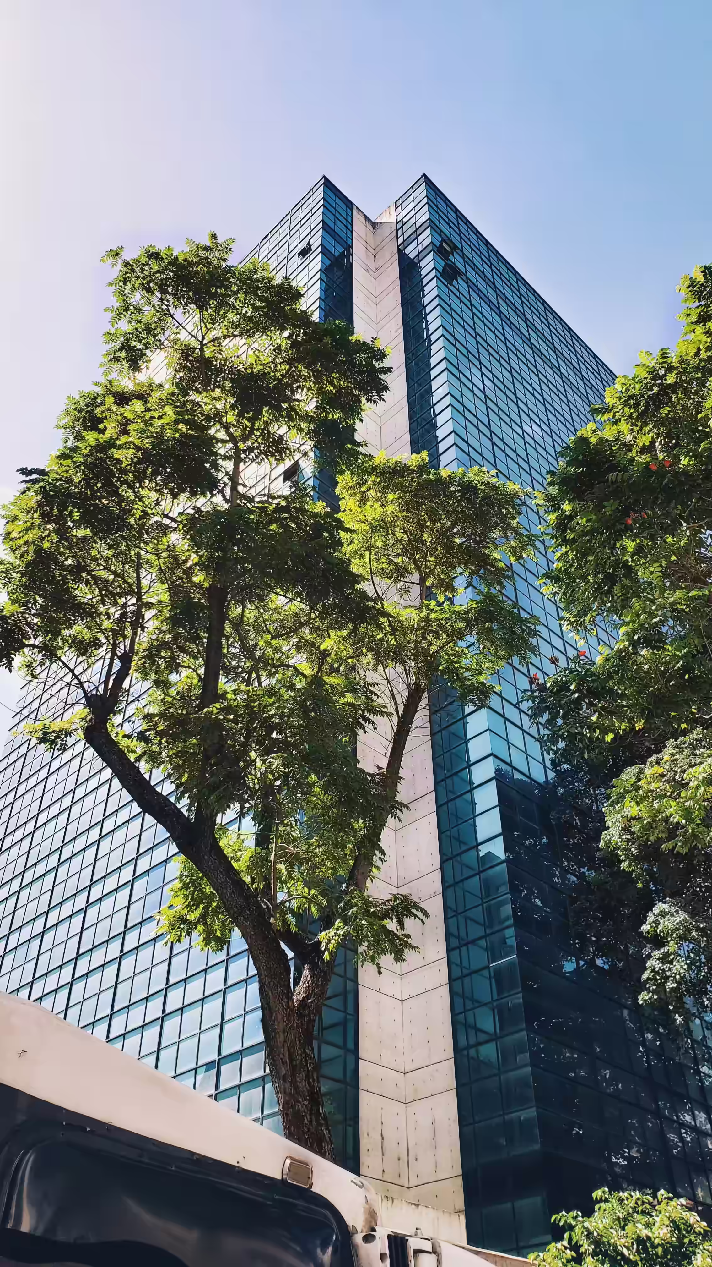 Tall modern glass building with a concrete corner behind green leafy trees under a clear blue sky.