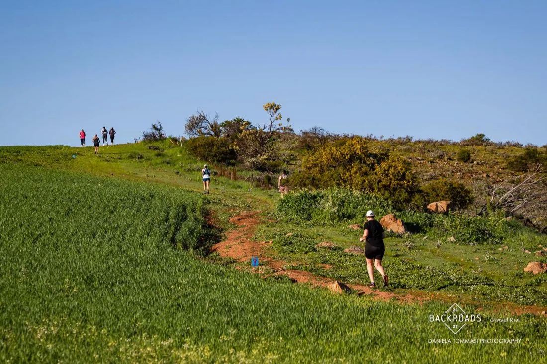 Runners on a gravel course beside a green crop