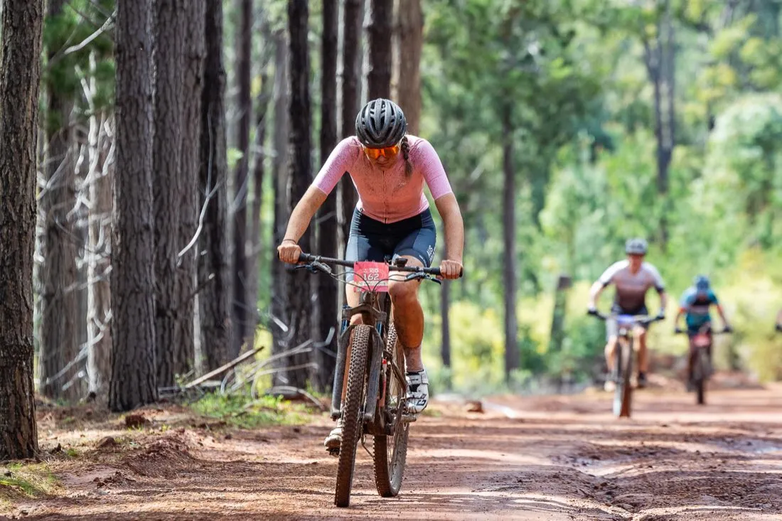 Trail through pine forest near Dwellingup