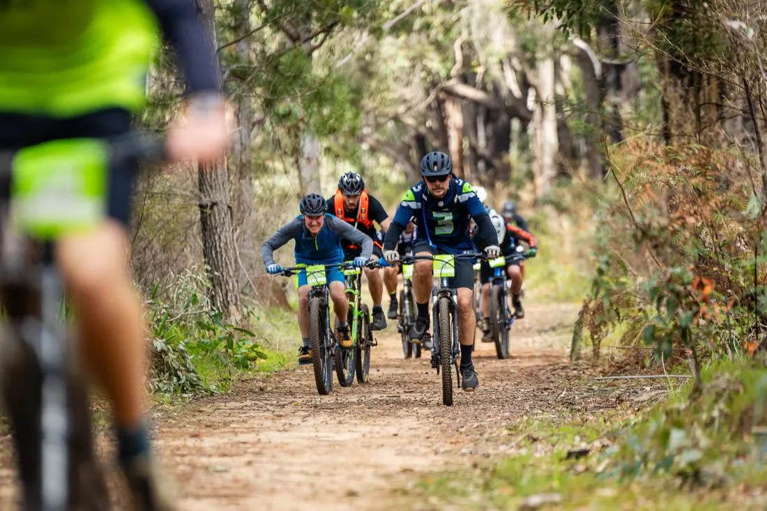 A pack of mountain bikers riding forest doubletrack