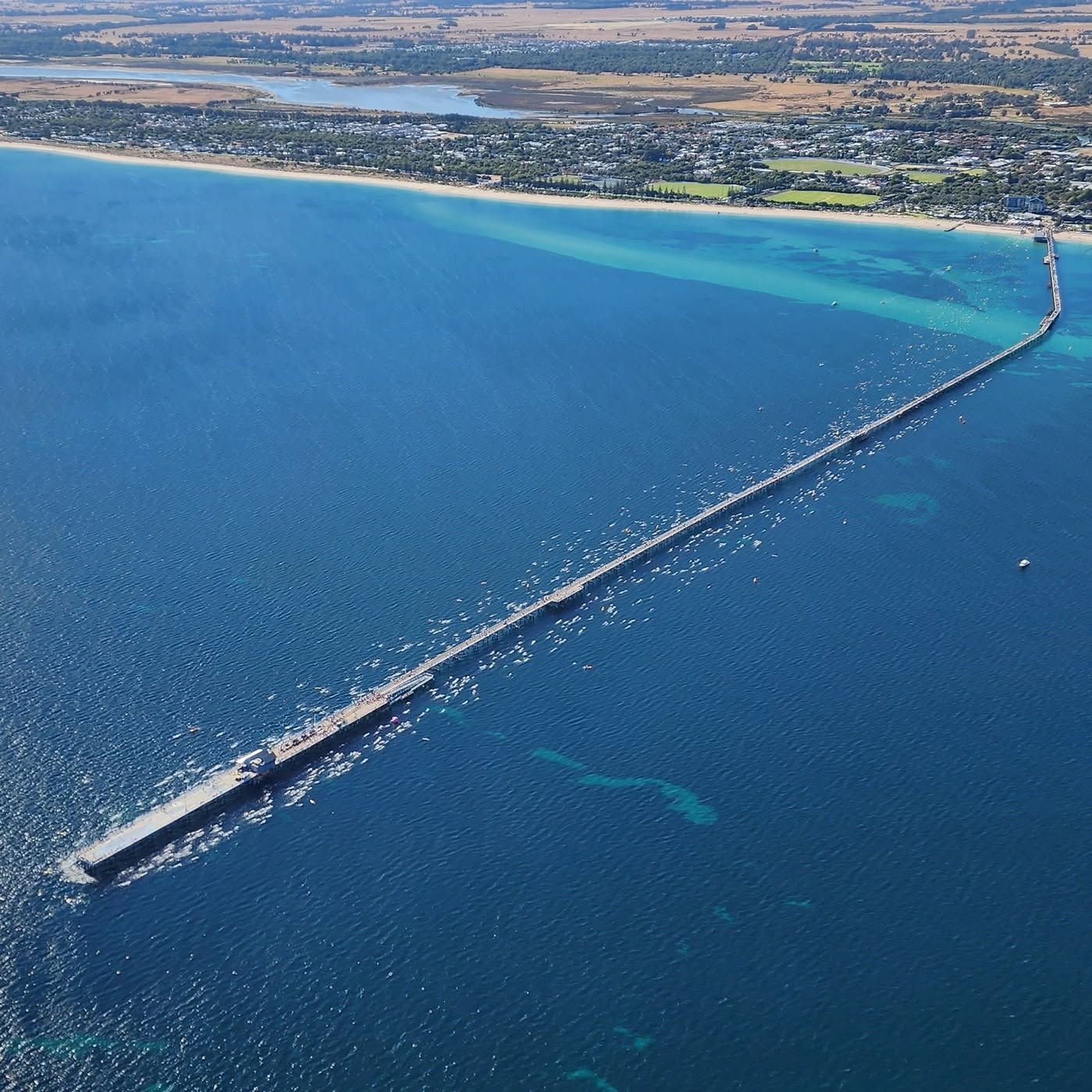 Aerial of swimmers and paddlers on Leighton Beach