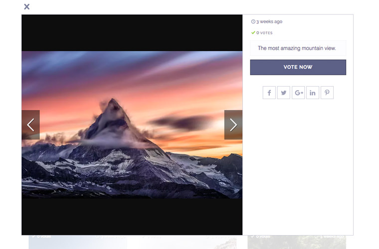 Contest voting and judging