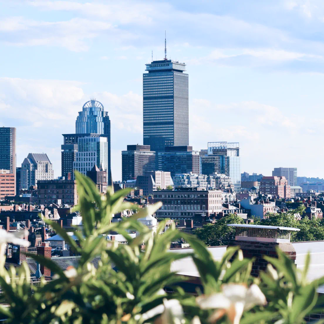 a view of a city with tall buildings - volunteer - best organization website webflow CMS template