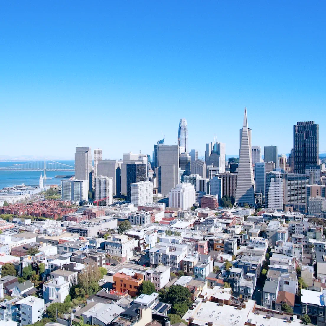 an aerial view of a city with tall buildings - volunteer - best organization website webflow CMS template