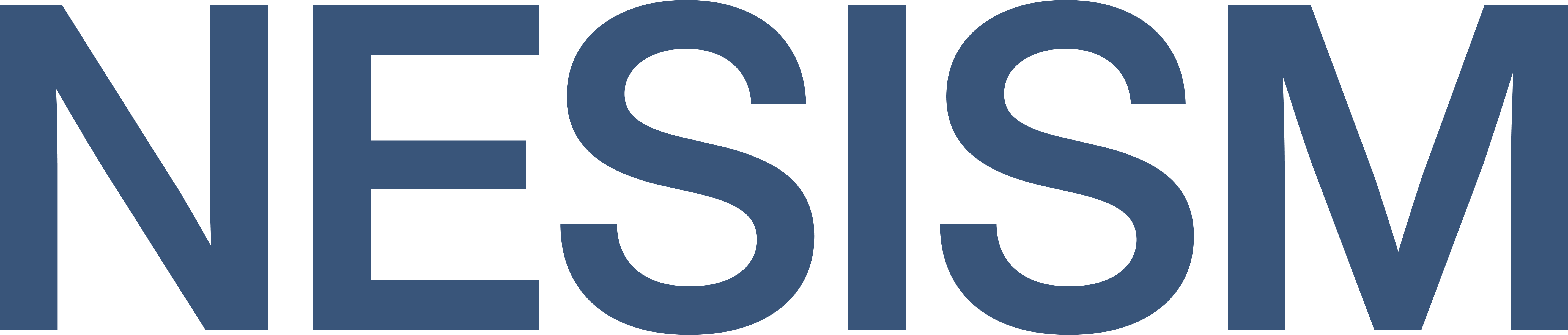 Text logo reading NESISM in bold, dark blue capital letters.