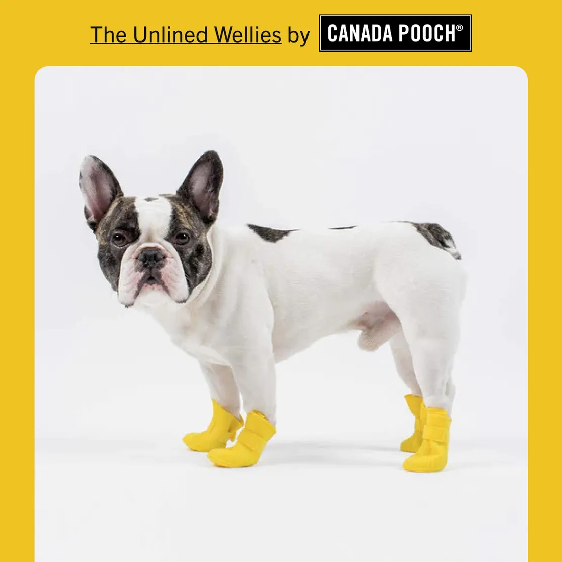 Canada Pooch