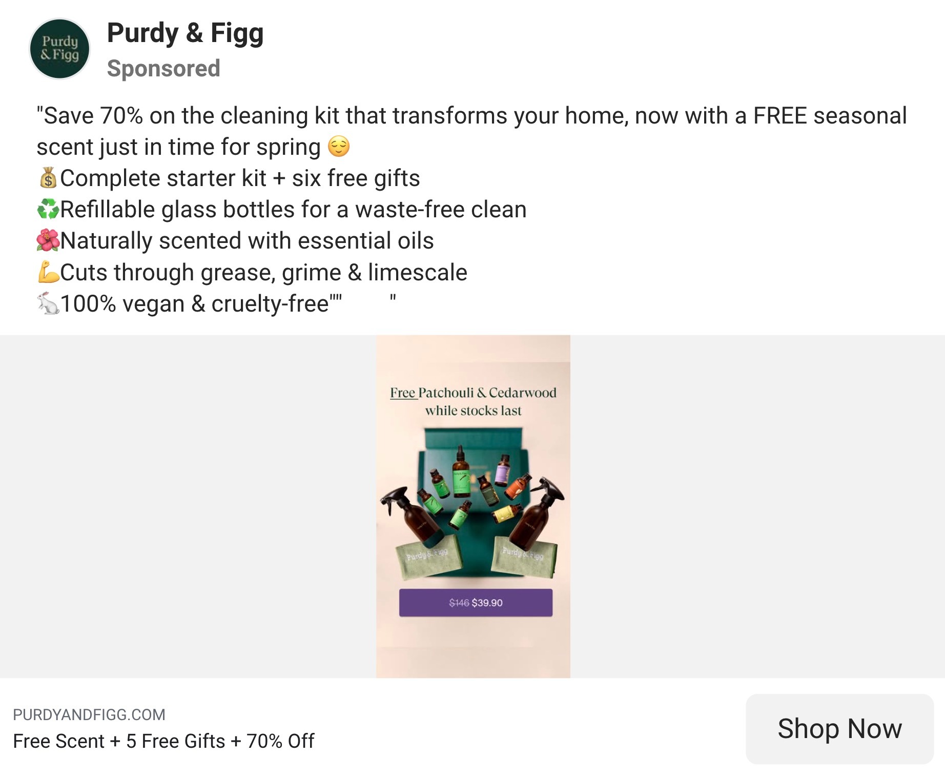 Purdy & Figg Retail Ad Example (Cleaning Kit)