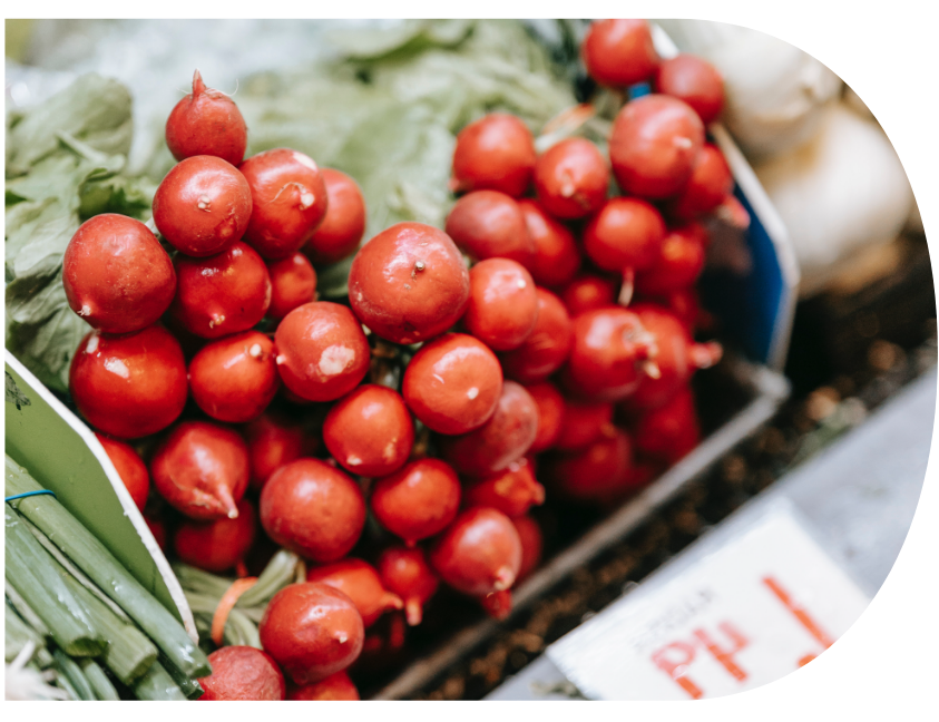 food suppliers Dubai