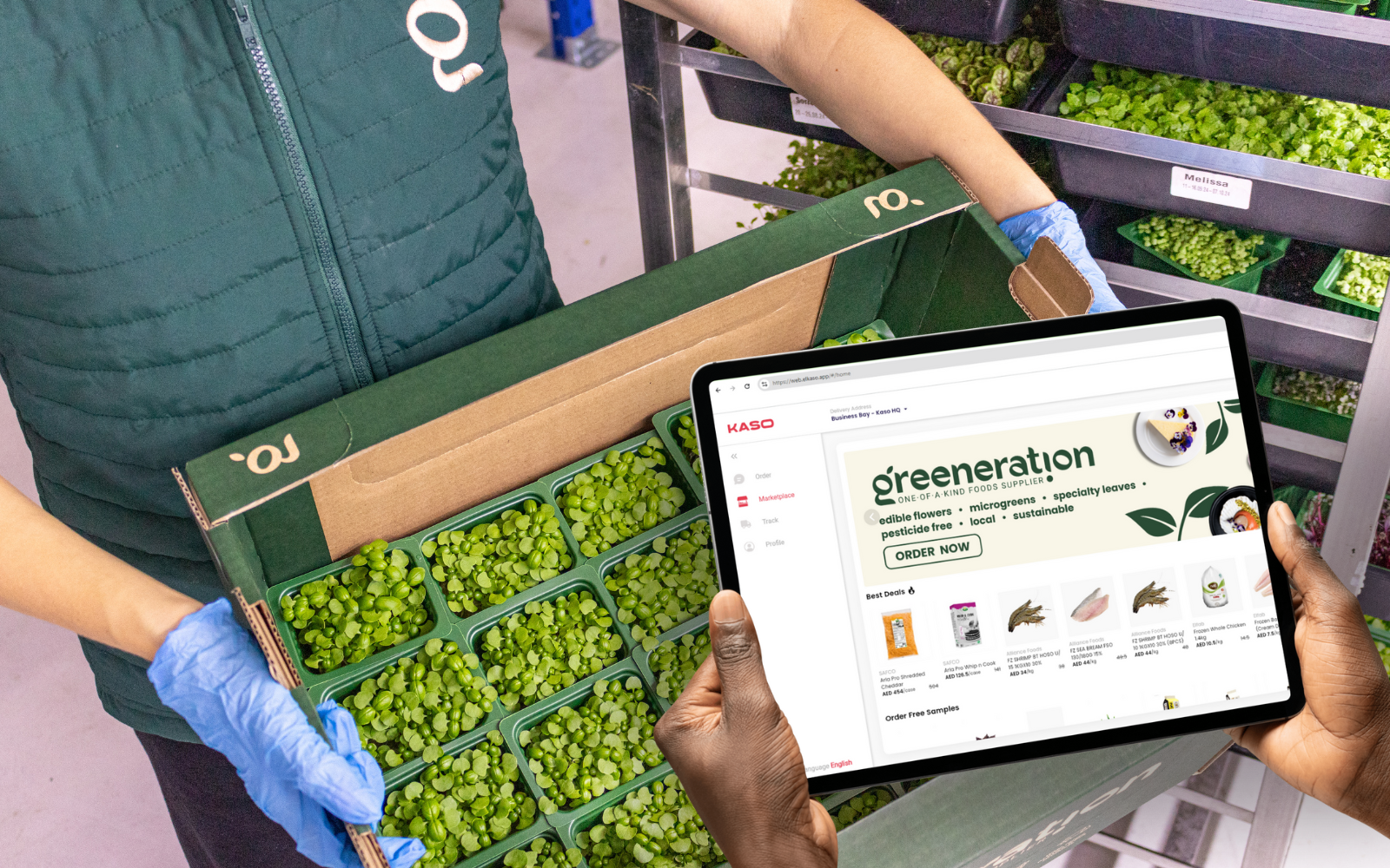 The post card thumbnail image