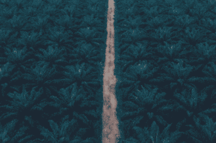 Global crop science company achieved zero thefts in Brazil