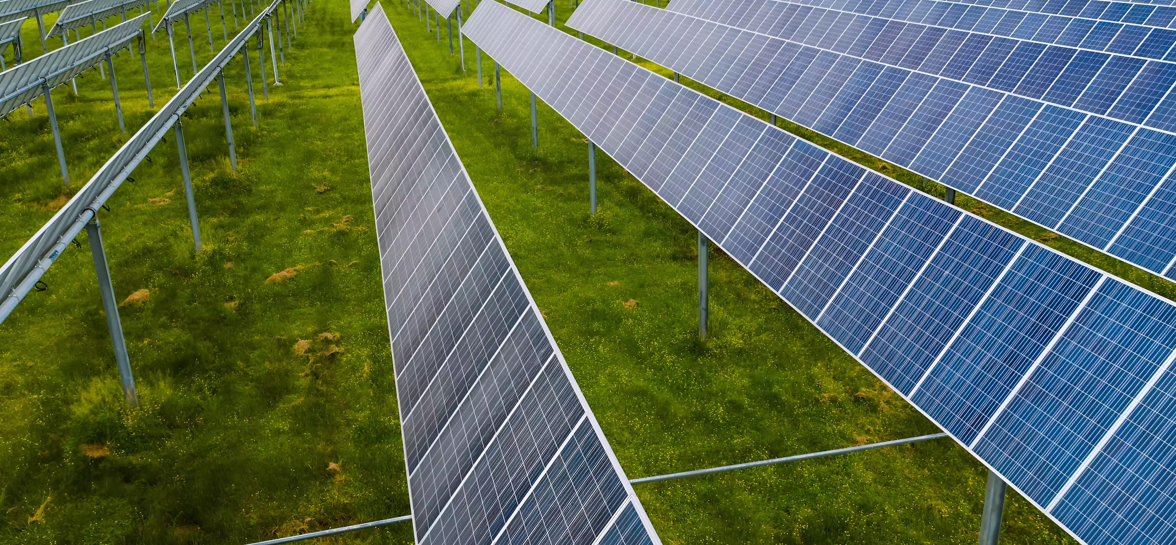 Rows of blue solar panels installed on metal supports over green grass in a solar farm.