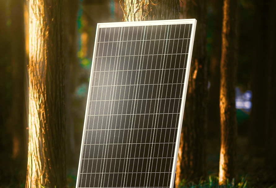 Solar panel positioned in a sunlit forest with tree trunks in the background.