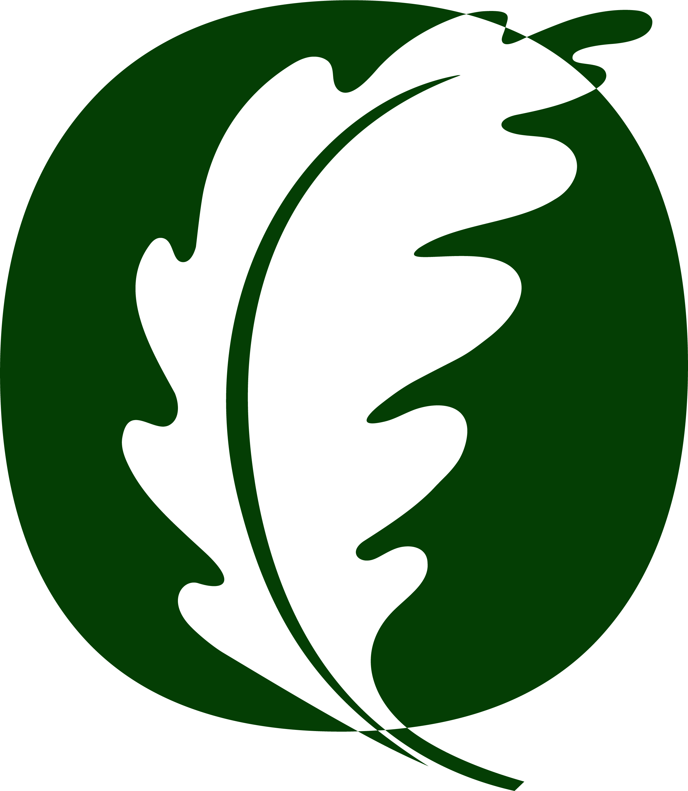 Blog Image Spacer