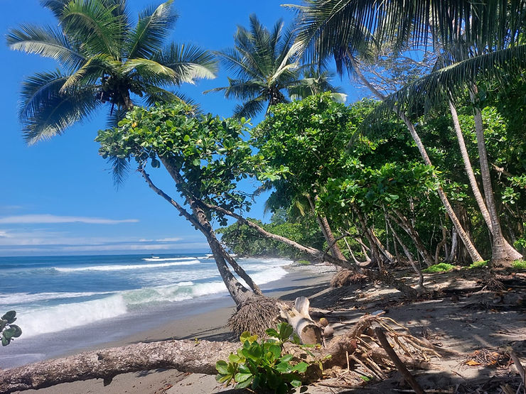 Nejkrásnější pláže na poloostrově Osa