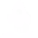 White rocket icon on transparent background.