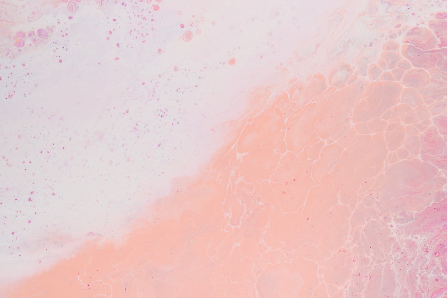 7 things about web design your boss wants to know