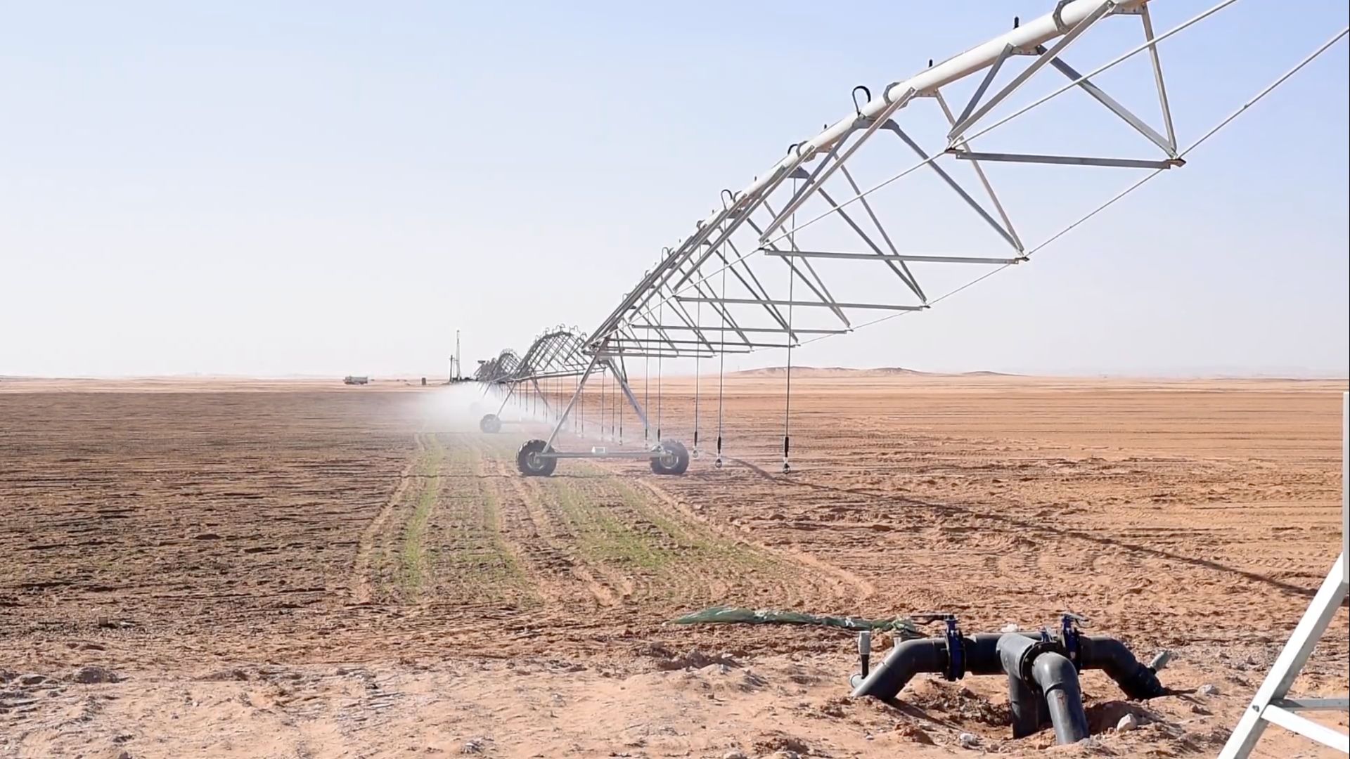 irrigation system watering crops at Umma Farm