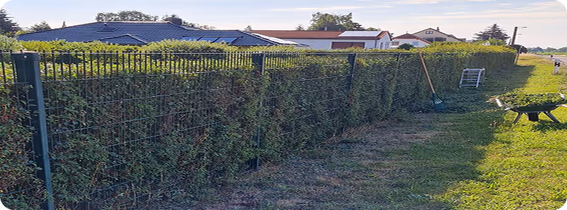 Metallzaun mit eingewachsenen grünen Büschen entlang einer Wiese neben Häusern unter blauem Himmel.