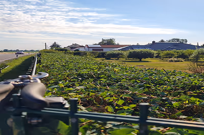 Blick über ein grünes Feld und landwirtschaftliche Gebäude bei teilweise bewölktem Himmel, im Vordergrund ein Teil eines Fahrrads.