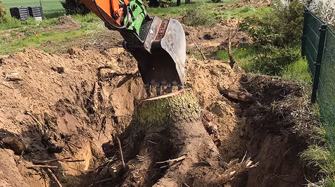 Bagger löst Baumstumpf in einem Garten mit Gras und Zaun im Hintergrund.